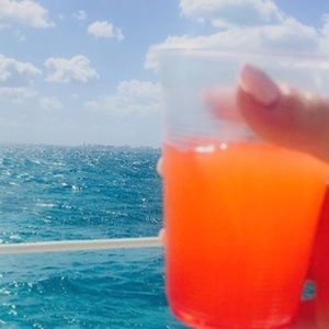 Meet your Posher, Lily